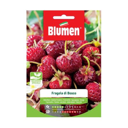 SEMI FRAGOLE DI BOSCO BLUMEN