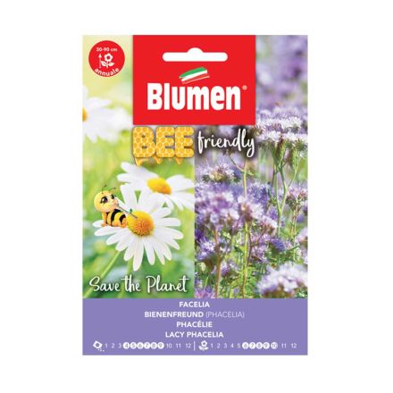 SEMI PHACELIA TANACETIF. BLUMEN