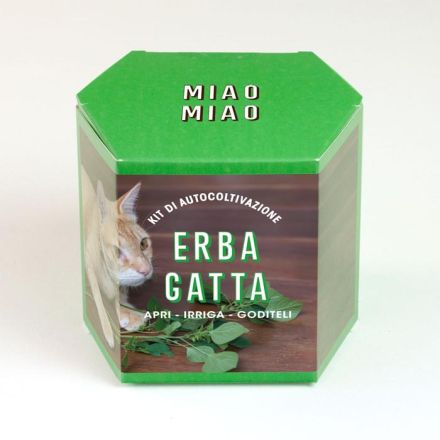 KIT AUTOCOLTIVAZIONE ERBA GATTA