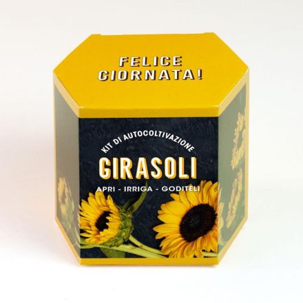 KIT AUTOCOLTIVAZIONE GIRASOLI