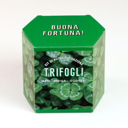 KIT AUTOCOLTIVAZIONE TRIFOGLI