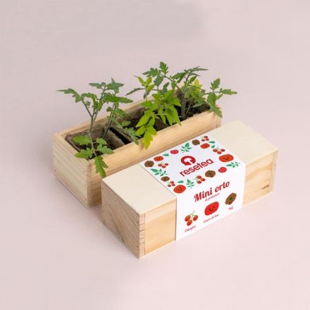 MINI ORTO - POMODORI