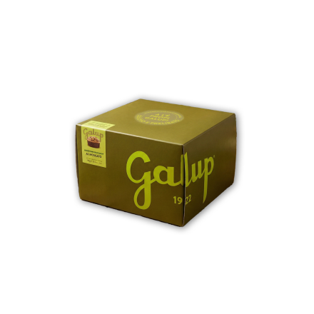 PANETTONE GRAN GALUP MOSCATO 750GR