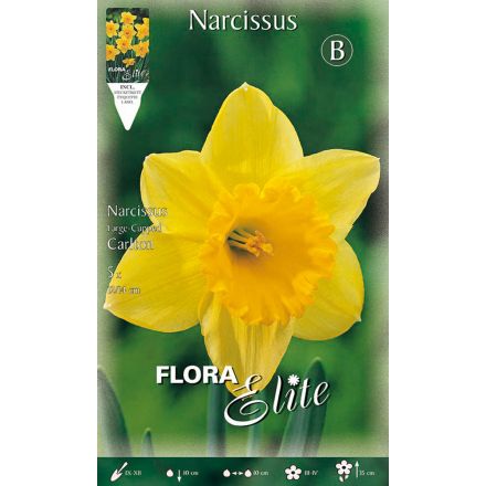 NARCISO LARGE-CUPPED CARLTON (CONFEZIONE DA 5 BULBI)