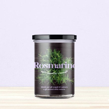 ORTO DA CUCINA - ROSMARINO