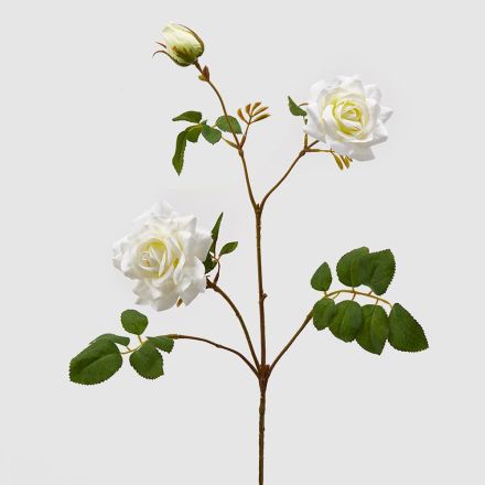 ROSA MARA REX RAMO 73CM AVORIO EDG