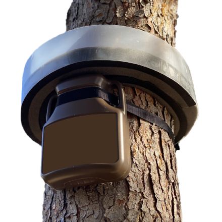 TRAPPOLA PER LA CATTURA DELLA PREOCESSIONARIA PROCESSOREX 1PZ