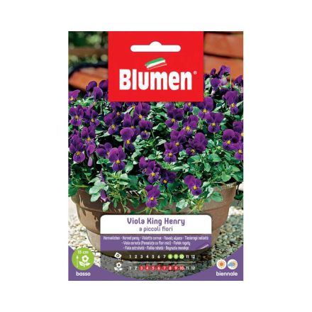 SEMI VIOLA KING HENRY BLUMEN