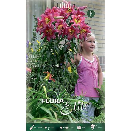 LILIUM EMPOLI GÉANT (LOT DE 2 AMPOULES)