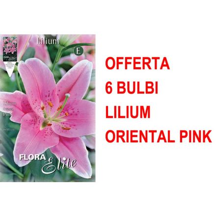 OFFERTA 6 BULBI LILIUM ORIENTAL PINK