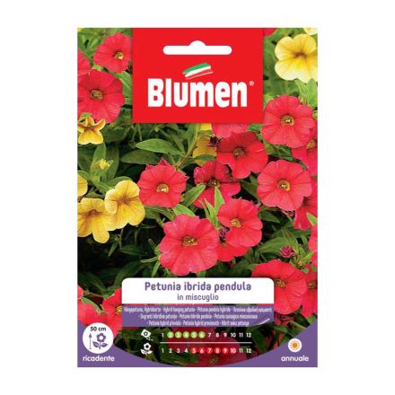 SEMI PETUNIA HYBRIDA PENDULA MIX BLUMEN