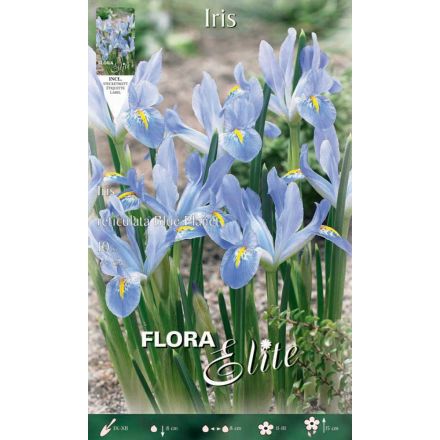IRIS RETICULATA BLUE PLANET (CONFEZIONE DA 10 BULBI)