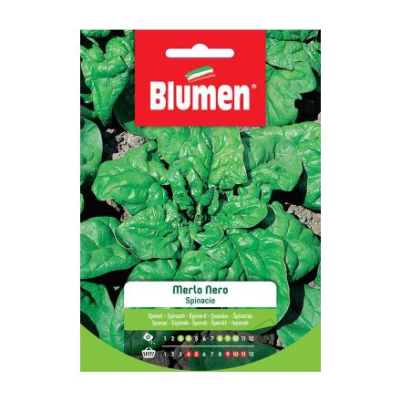 SEMI SPINACIO MERLO NERO BLUMEN