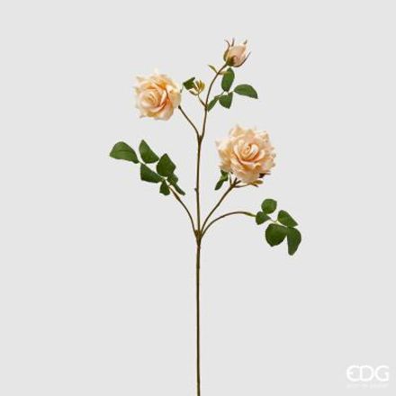 ROSA MARA REX RAMO 73CM PPESCA EDG