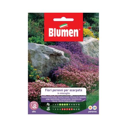 GRAINES DE FLEURS VIVACES POUR CHAUSSURES EN BLUMEN MIX