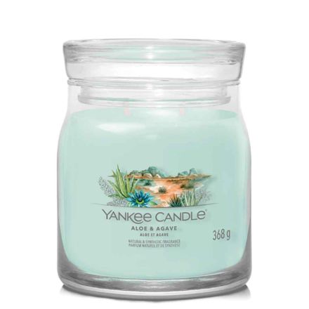 CANDELA GIARA MEDIA SIGNATURE ALOE & AGAVE