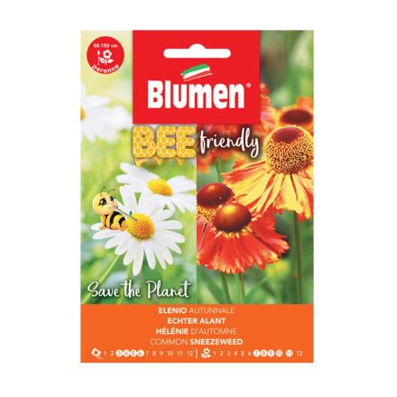 SEMI HELENIUM AUTUMNALE BLUMEN