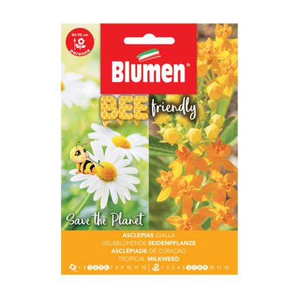 SEMI ASCLEPIAS CURASSAVICA BLUMEN