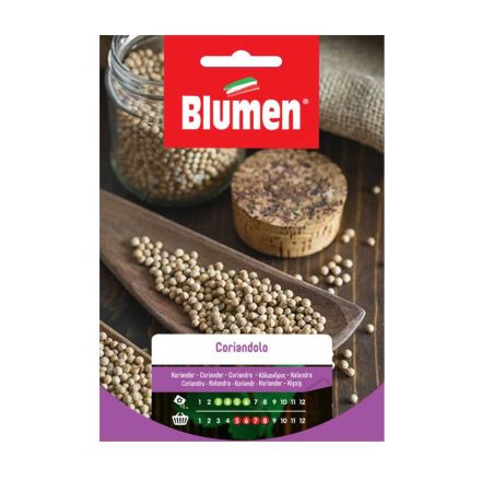 SEMI CORIANDOLO FOGLIE AROMATICHE BLUMEN