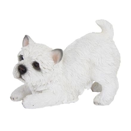 CAGNOLINO WEST HIGHLAND TERRIER CHE GIOCA 15,2 CM