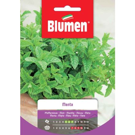 SEMI DI MENTA