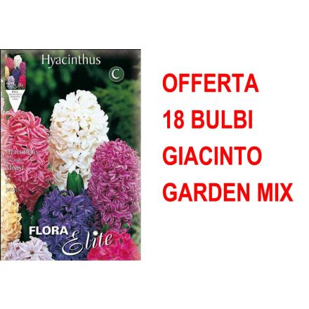OFFERTA 18 BULBI GIACINTO GARDEN MIXED DI COLORI