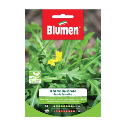 SEMI RUCOLA SELVATICA A SEME CALIBRATO BLUMEN