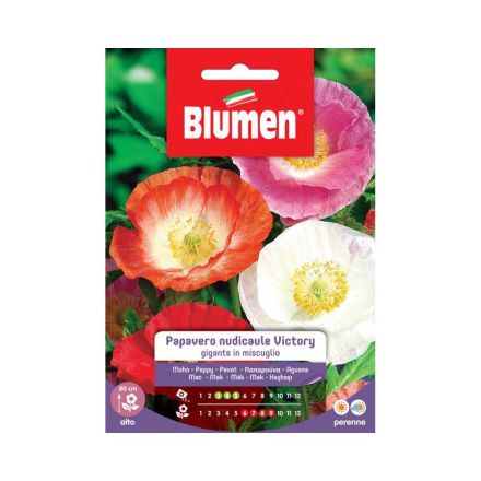 SEMI PAPAVERO NUDICAULE VICTORY GIGANTE IN MIX BLUMEN