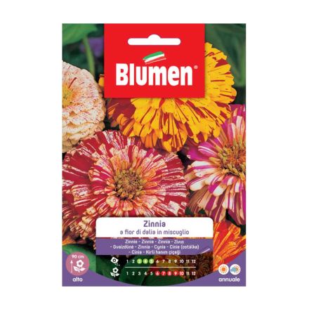 SEMI ZINNIA A FIOR DI DALIA IN MISCUGLIO BLUMEN