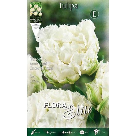 TULIPANO A FIORE DOPPIO SNOW CRYSTAL (CONFEZIONE DA 5 BULBI)