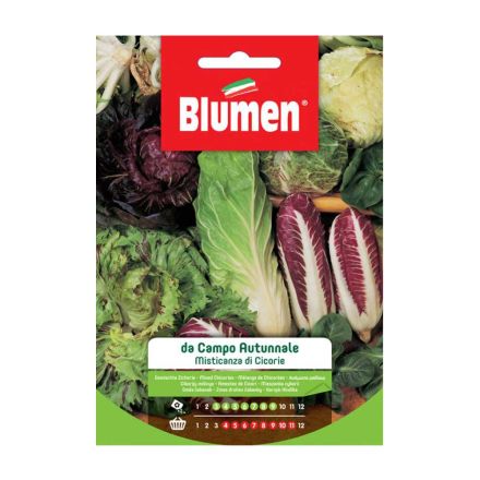 SEMI MISTICANZA CICORIE AUTUNNALI BLUMEN