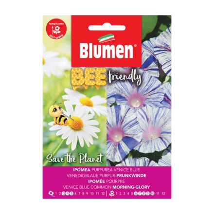 IPOMEA PURPUREA BLUE BEE FRIENDLY BLUMEN