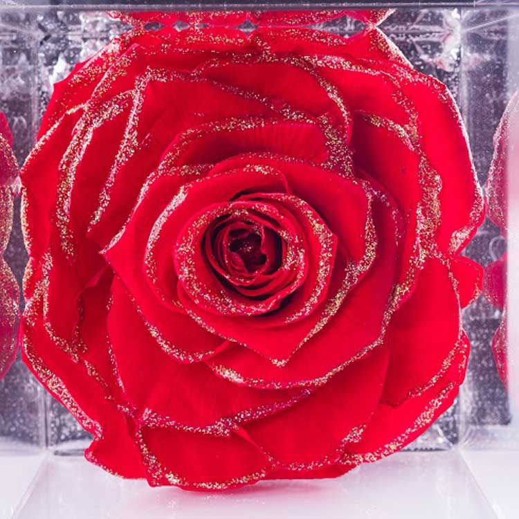 Flowercube Rosa Stabilizzata Profumata 10x10cm