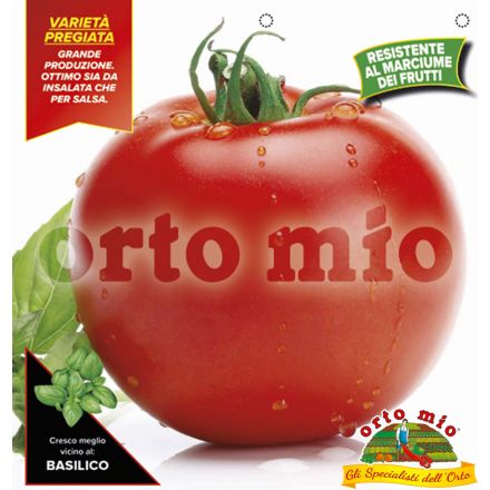 3 Topfpflanzen Ã ~ 10cm Tomate Runde Melodie