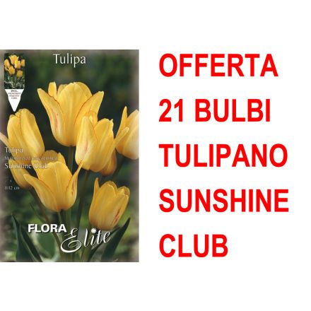 OFFERTA 21 BULBI TULIPANO MULTIFIORI SUNSHINE CLUB
