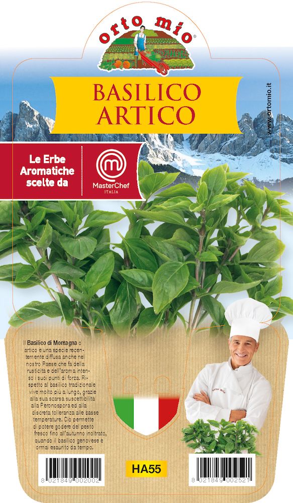 BASILICO ARTICO VASO 14CM Le Officinali Peragashop