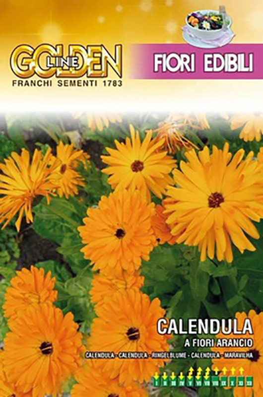 Seeds CALENDULA a Fiore Semplice Arancio 40 Semi